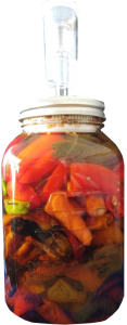 Peppers in a fermenter